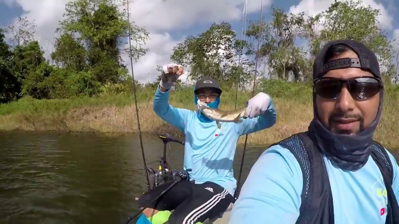 HUNTING WOLF FISH - Catching WABEEN in Trinidad, Caribbean