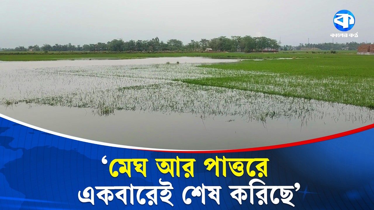 সুনামগঞ্জে শিলাবৃষ্টির তাণ্ডবে ক্ষতিগ্রস্ত ১১৬ হেক্টর জমির ফসল | Sunamganj | Hailstorm Damage