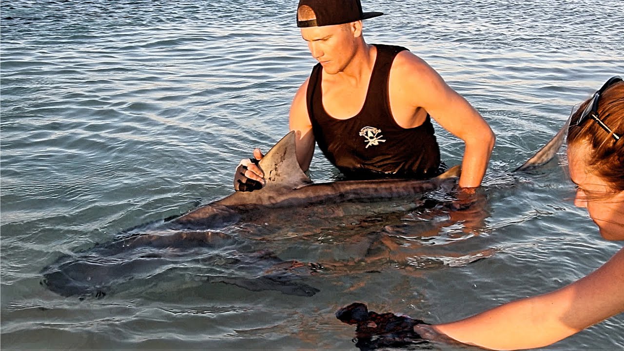 60 DAYS IN THE WILDERNESS EP 15 - FINDING FUN ON LAYDAYZ  | Underwater fishing | Shark fishing