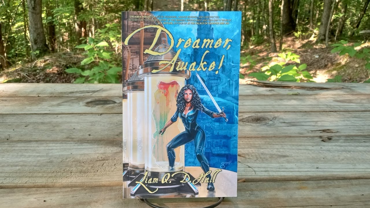 Liam Q. D. Hall's Dreamer, Awake! - Indie Author August