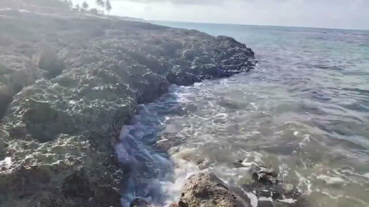 The sound of the ocean, waves and gentle music for recovery! 