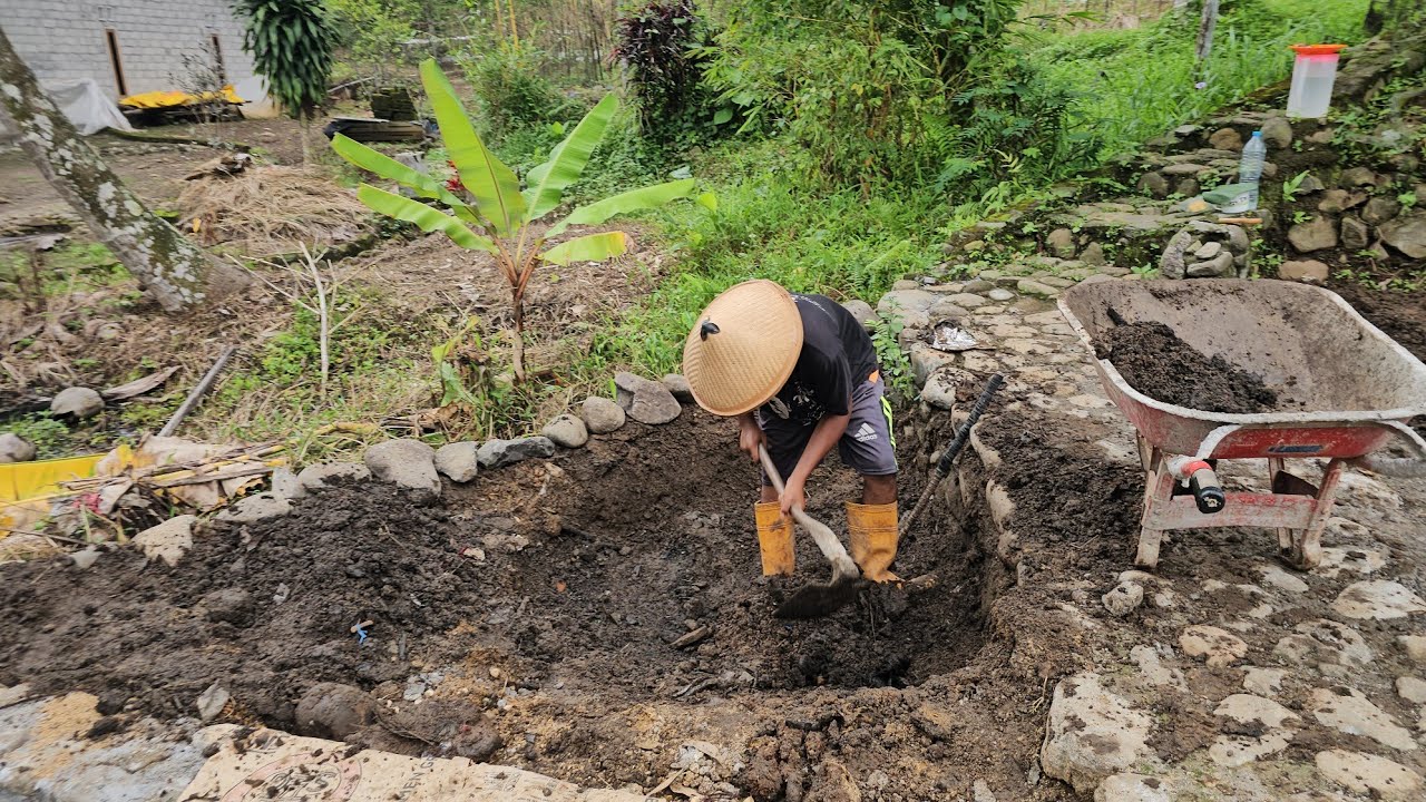 Menata halaman belakang 