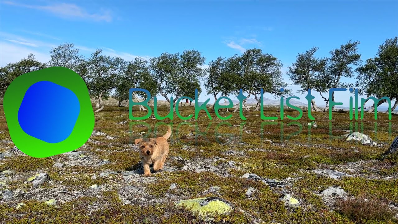Solovandring med hund - Grövelsjön - Ljungdalen via Oasen