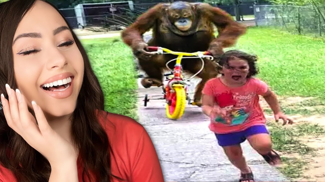 EXTREME Try Not To Laugh 🥵 | Bunnymon REACTS