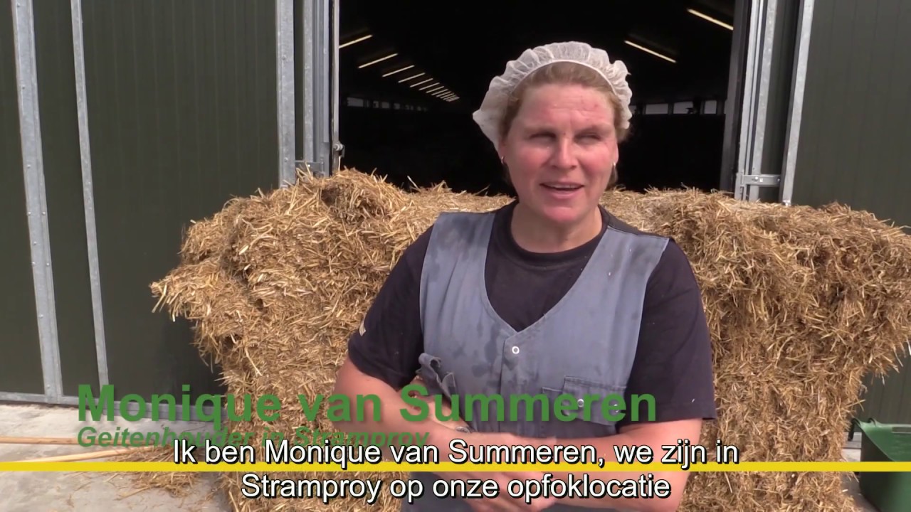 Mooie uitdagingen bij Geitenhouderij  Van Summeren Stramproy | Agrifirm