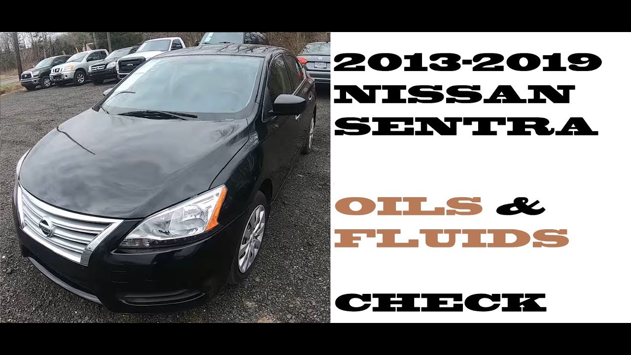 Как проверить масло и жидкости Nissan Sentra 2013-2019