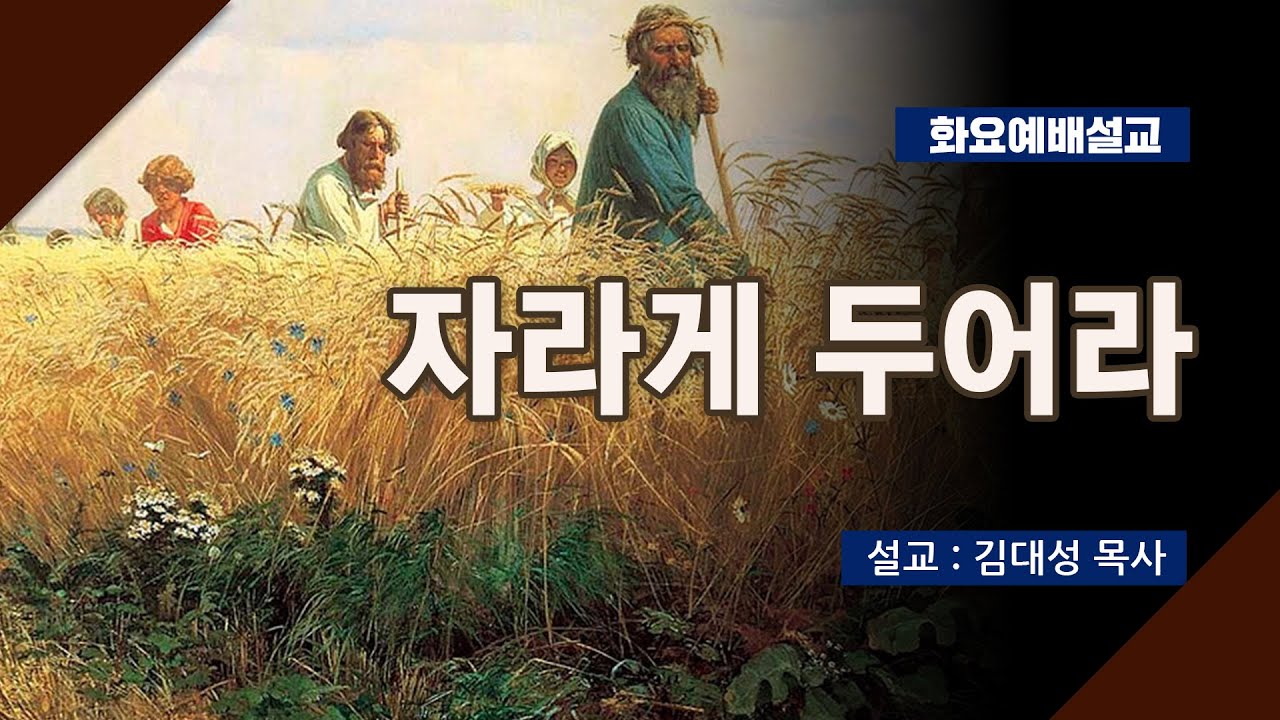 [화요설교] 자라게 두어라 | 김대성 목사