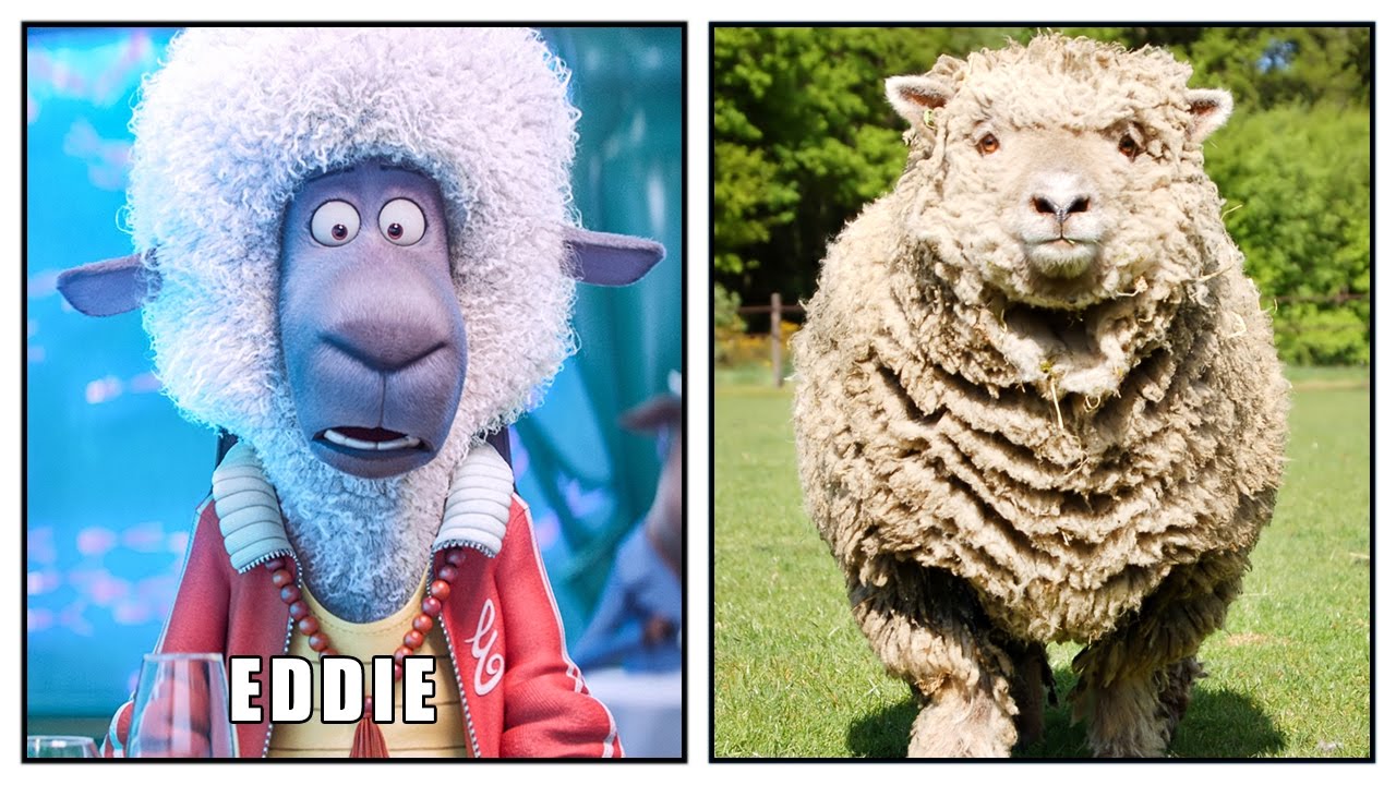 SING in REAL LIFE All Characters