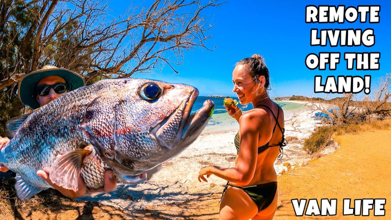 VAN LIFE 5 YEARS - LIVING OFF THE LAND - MONSTER FISH CATCH AND COOK - FISH TACOS
