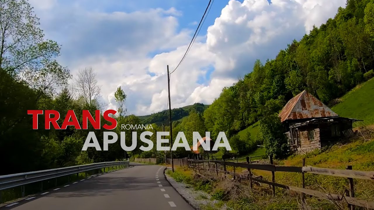 Панорамный вид на Transapuseana — быстро и захватывающе! 🚗🌲
