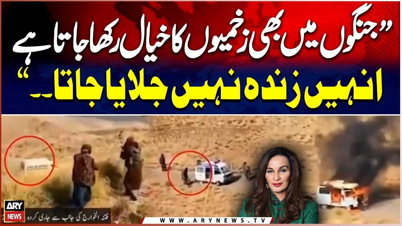 Even in War, the Wounded Are Not Bur*ned Alive - Senator Sherry Rehman