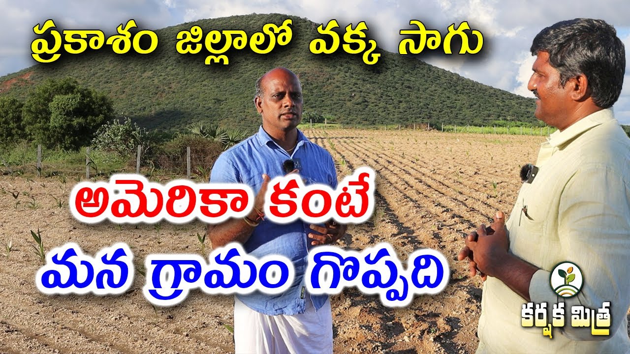 అమెరికా కంటే మన గ్రామం గొప్పది || వక్క సాగుతో సాఫ్ట్ వేర్ ఇంజనీర్ ప్రయోగం || Karshaka Mitra