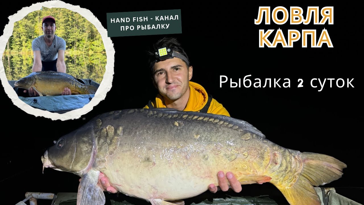 Ловим карпа 2 суток  | Рыбалка в сентябре 2025🎣 #рыбалка #карп #фидер #карпфишинг  #флэт #fishing