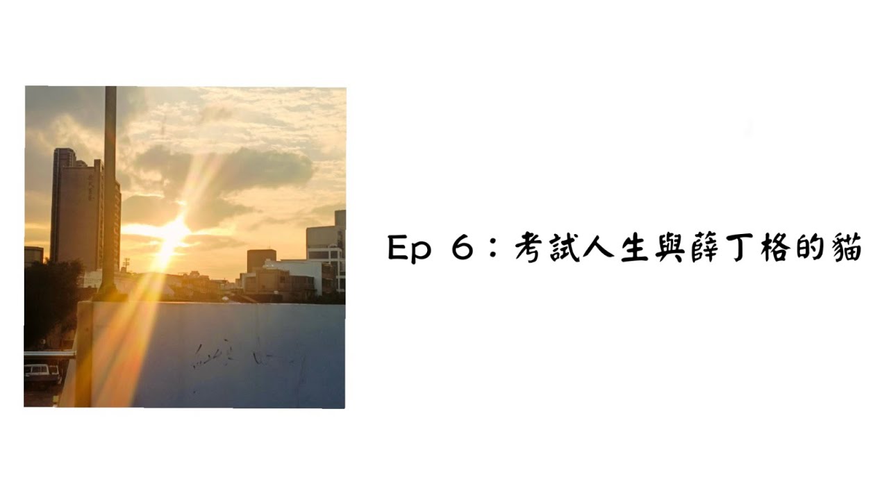 【聽聽就好的podcast Ep 6：考試人生與薛丁格的貓】好奇心會害死貓的呦！喵～