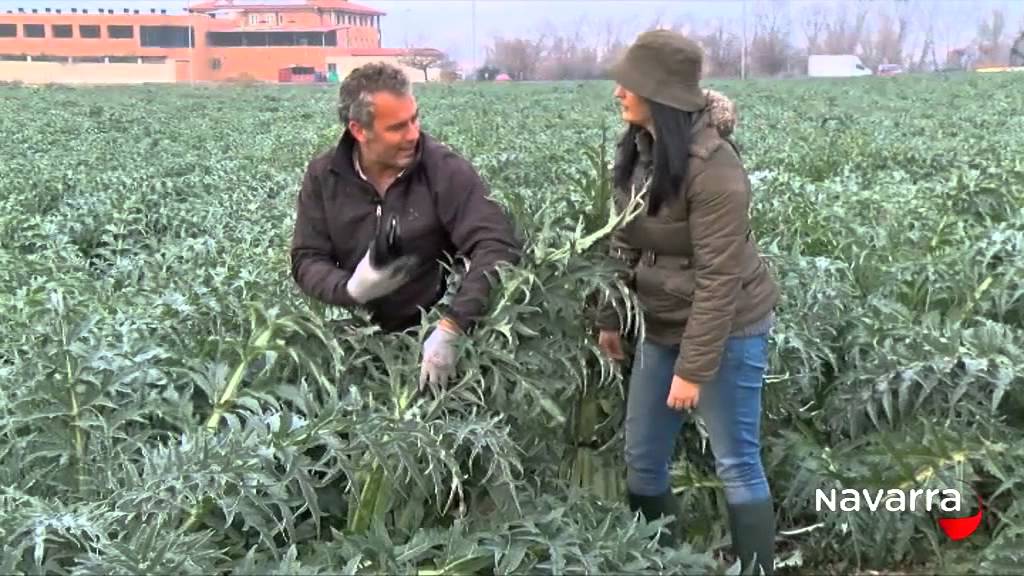 Un Reyno de Tentaciones 20 enero 2015