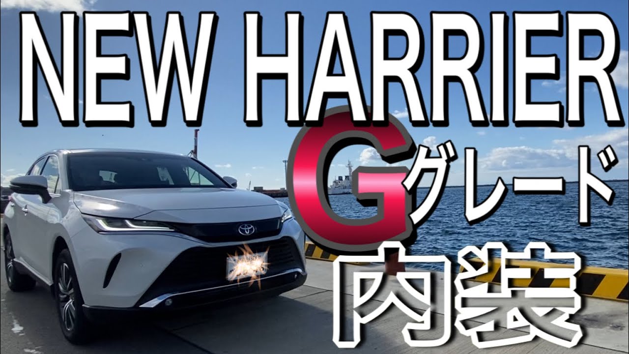 【新型HARRIER】Gグレードの内装と2ヶ月乗った甘口感想❗️新型ハリアー🐲