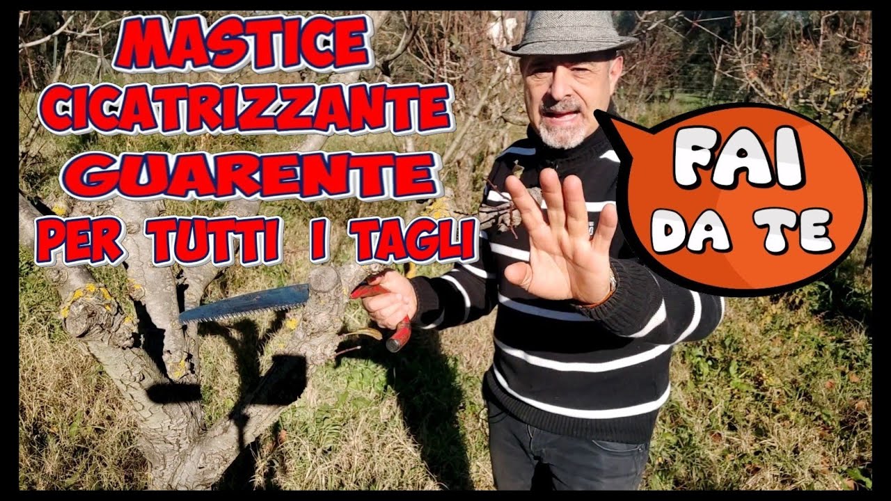 Mastice Cicatrizzante Guarente, per potature e tutte le altre ferite delle piante