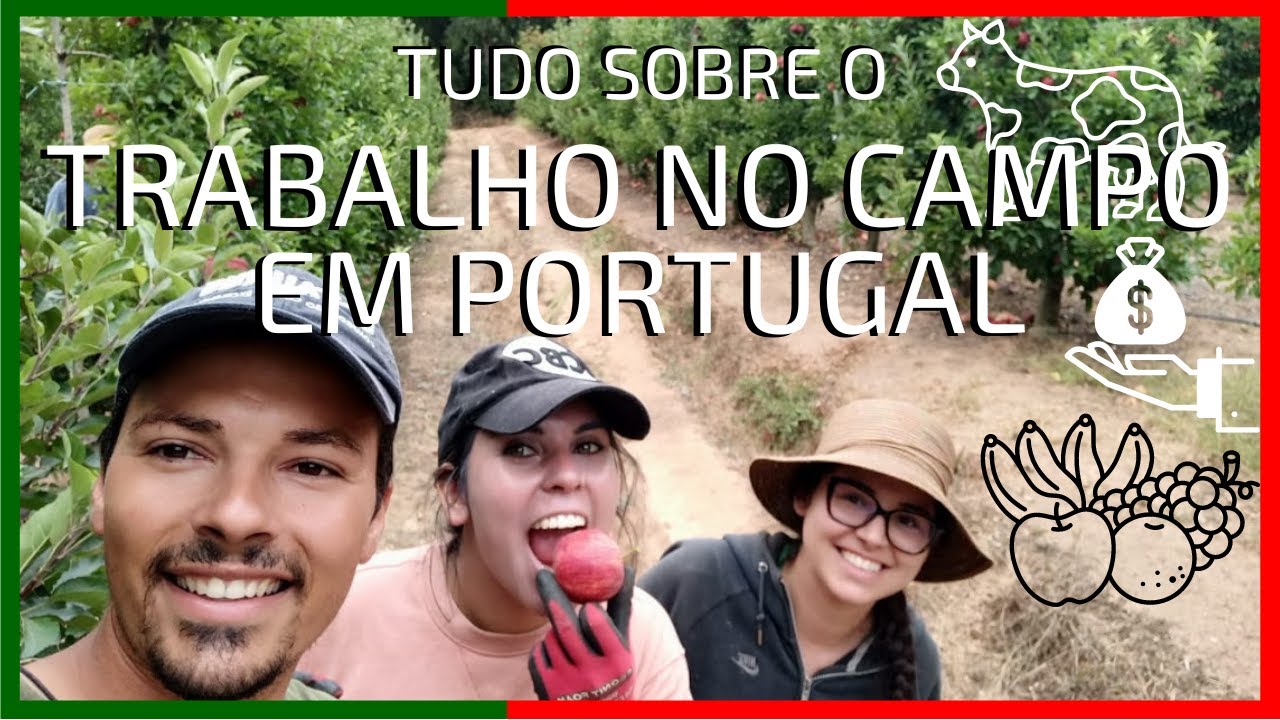 Como é o trabalho no CAMPO em Portugal? | Gaúcha pela Europa