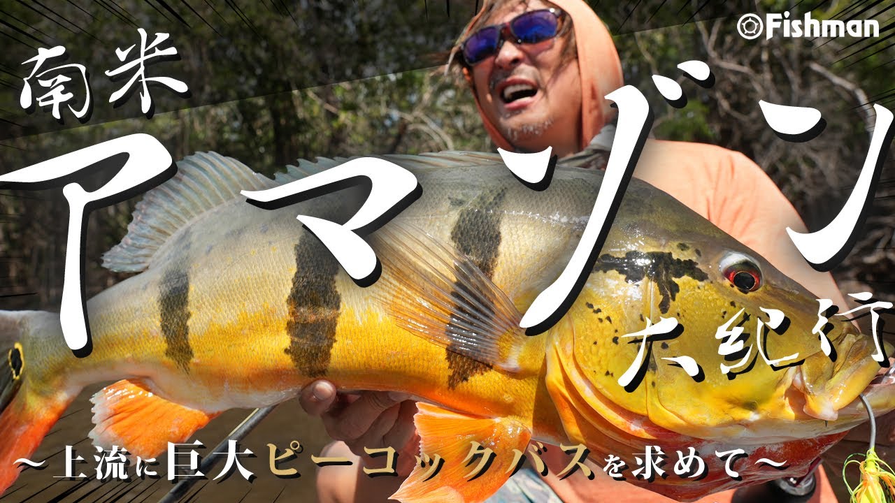 【秘境南米アマゾン】パックロッドで挑む！巨大ピーコックバス