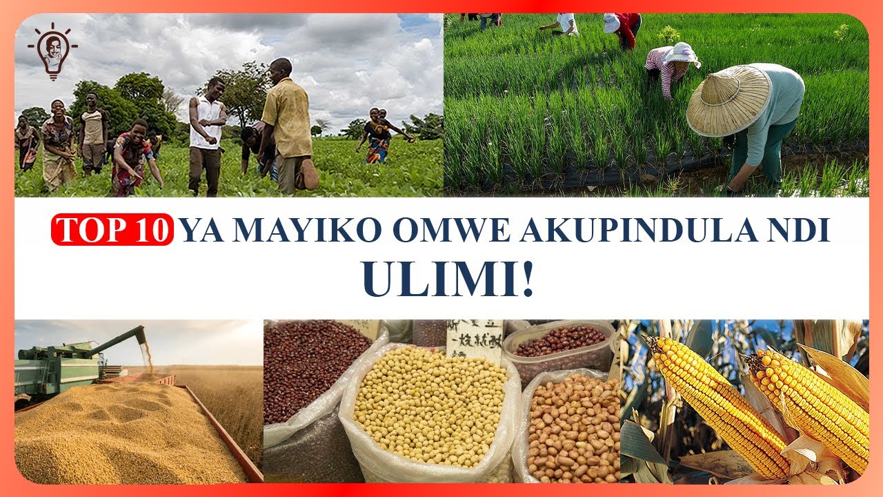 Top 10 Ya Mayiko Omwe Akupindula Ndi Ulimi