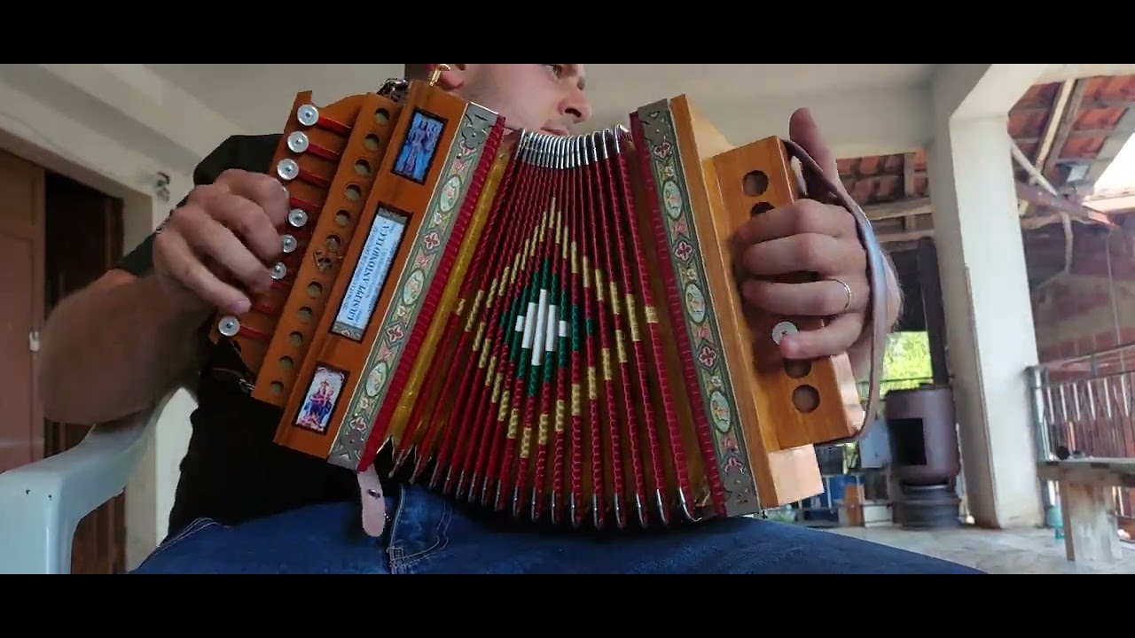 TARANTELLA CALABRESE BRUNO MARZANO SOLO ORGANETTO IN (DO#)
