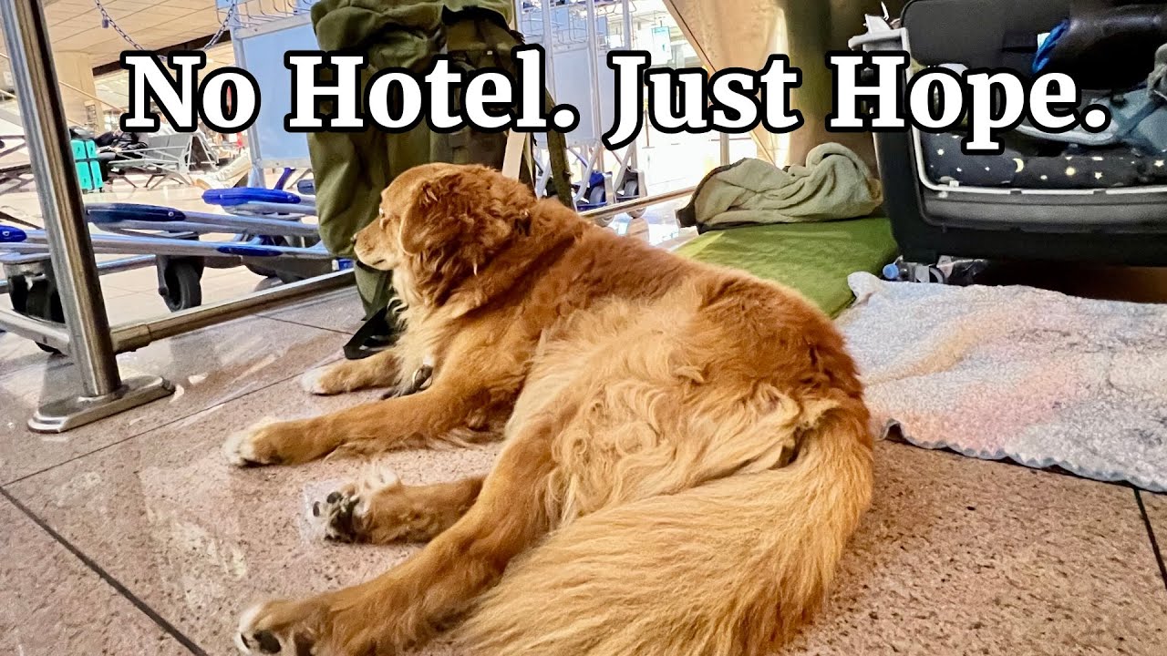 Sleeping at Hamburg Airport with my Dog – Will they let us stay?