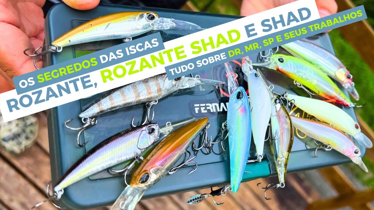 ROZANTE, ROZANTE SHAD E SHAD | TUDO SOBRE AS PRINCIPAIS DIFERENÇAS ENTRE BARBELAS E TRABALHOS
