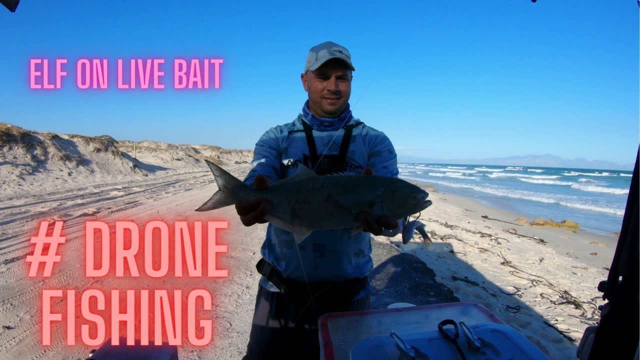 Elf on live bait # Drone fishing