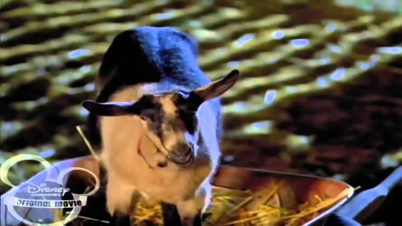 Toata lumea vorbeste film intreg