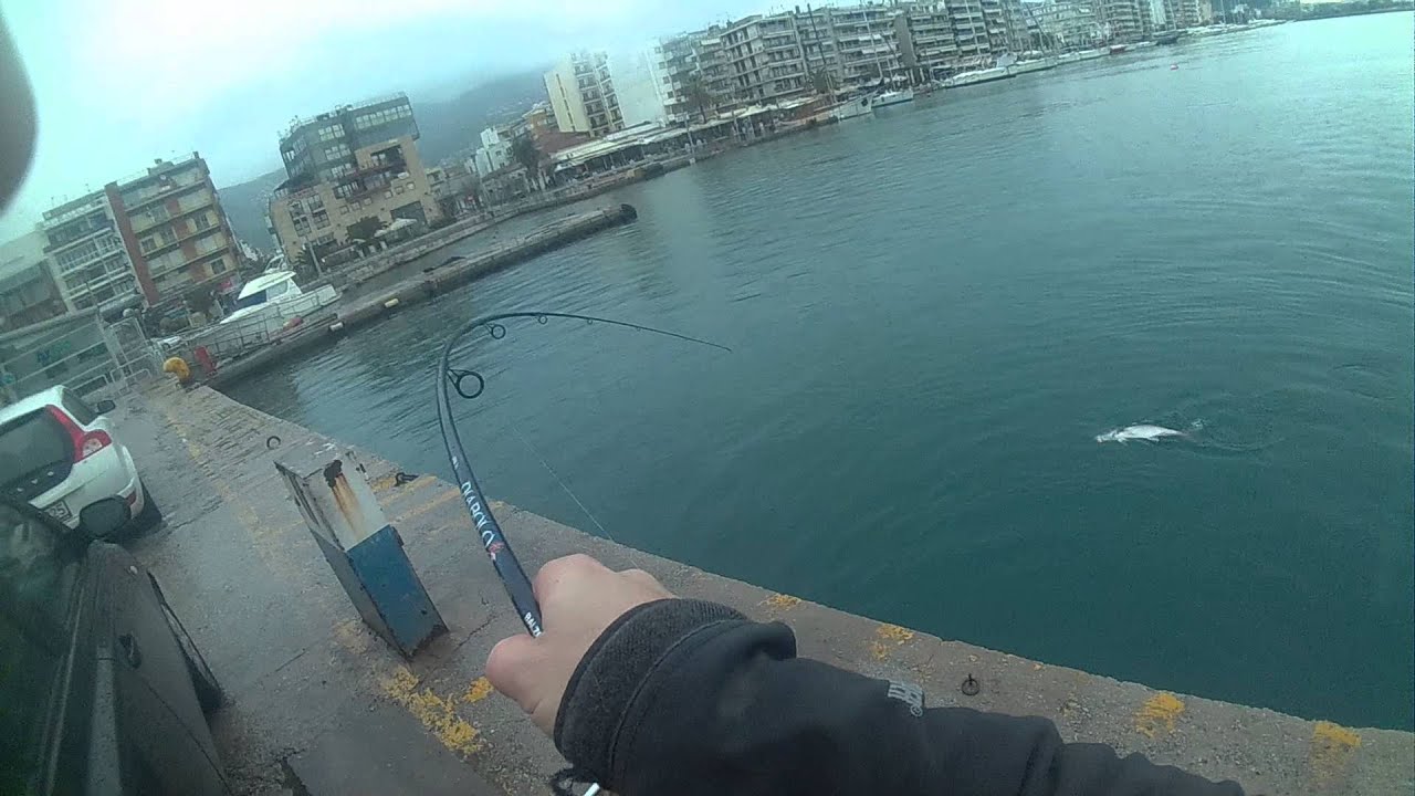 VOLOS SPINNING ΓΟΦΑΡΙ 5 ΚΙΛΑ ΣΤΟ ΛΙΜΑΝΙ ΤΟΥ ΒΟΛΟΥ