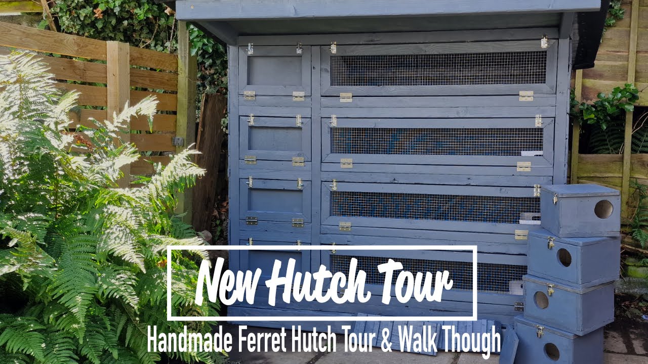 New Hutch Tour - Handmade Ferret Hutch Tour & Walk through