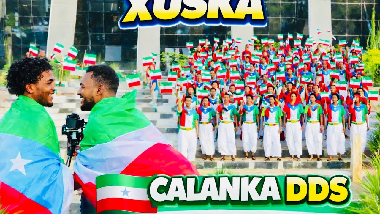 Xuska calanka dds 