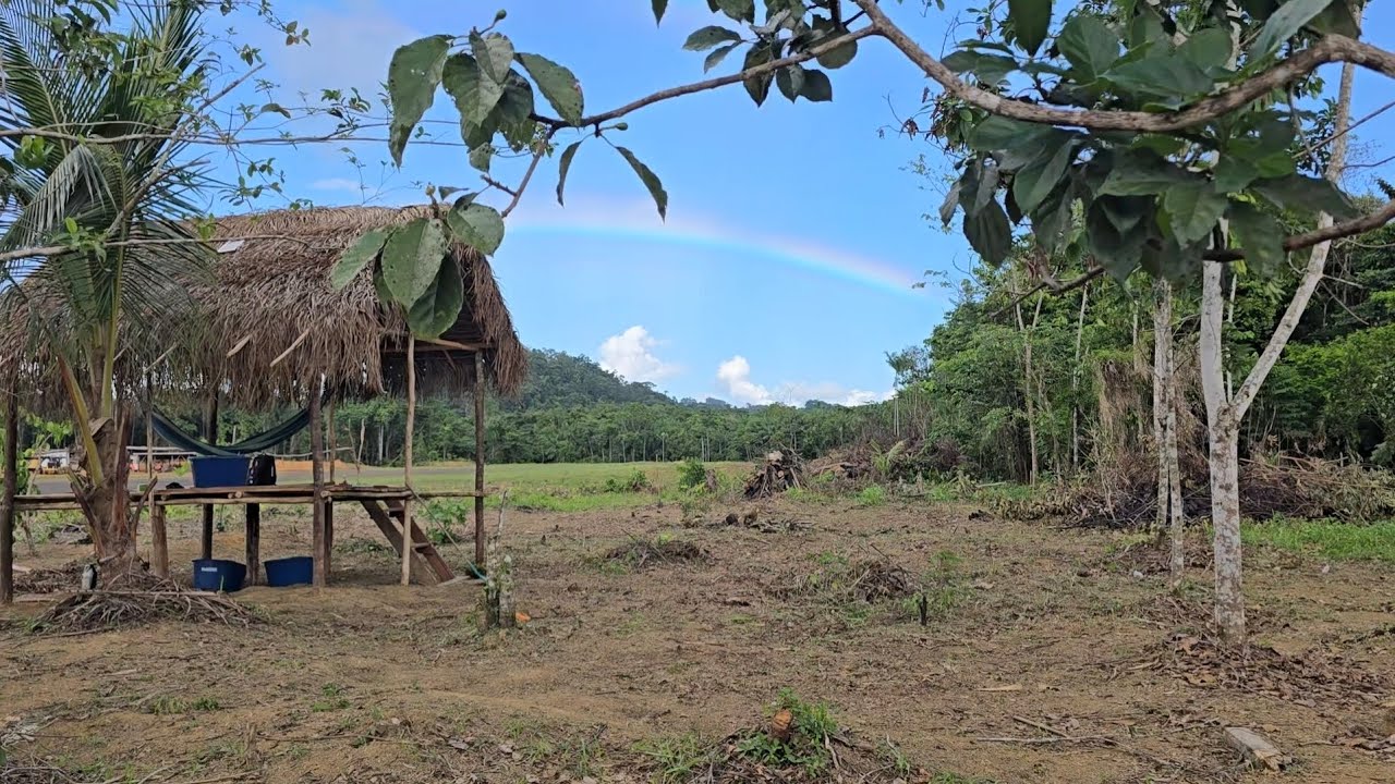 Green Innovation Farm Project Matthews Ridge 2025 🇬🇾