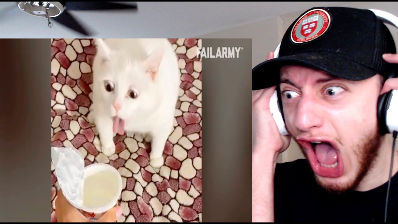 Instant Regret Compilation REACTION