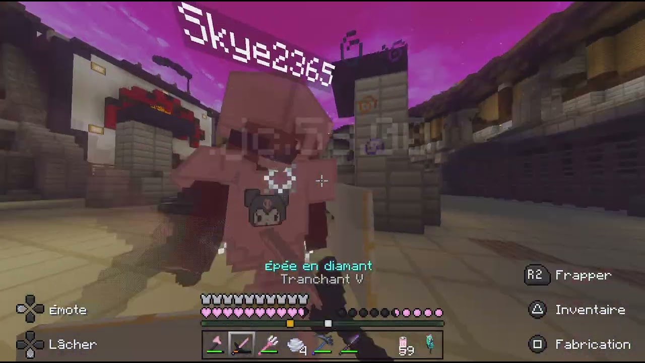 Minecraft_20260223202252