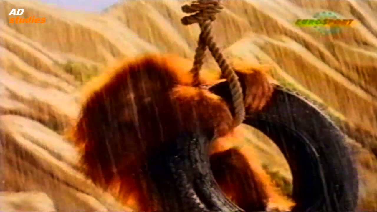 Uniroyal Rain Tyres - Orang Utans in Tyre playground