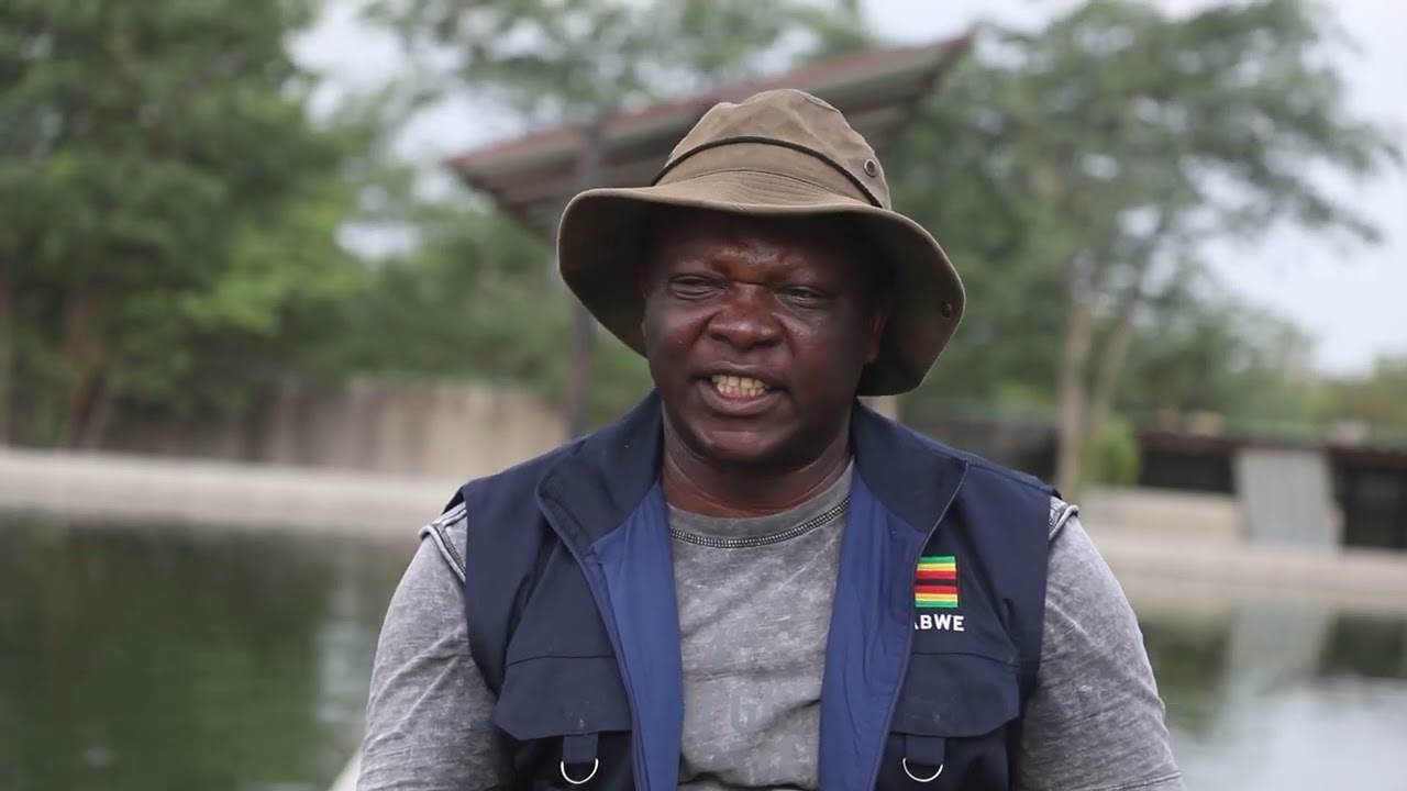 Fish Farming in Zimbabwe: Lessons, Benefits & Risks from a Farmer Feeding His Community