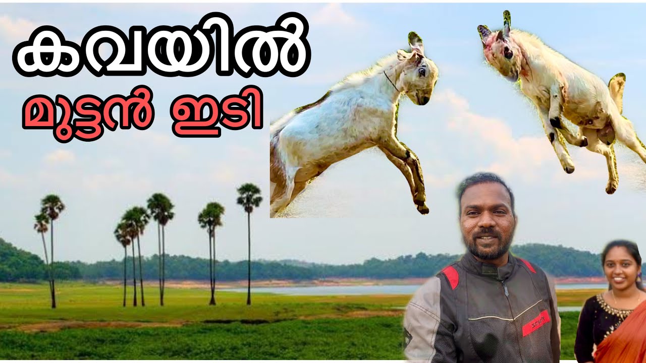 പാലക്കാട്‌ കണ്ടിരിക്കേണ്ടേ ഏറ്റവും മനോഹരമായ സ്ഥലം | Kava island palakkad