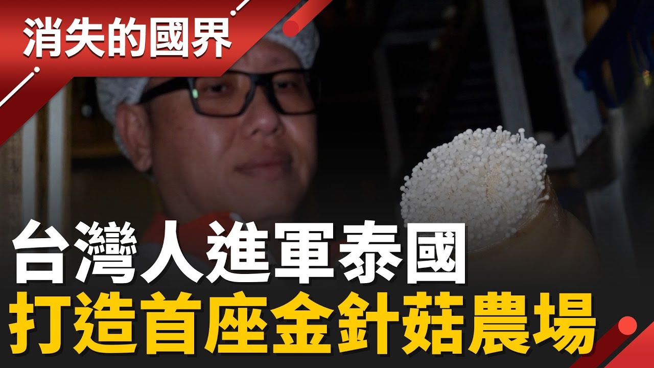 台灣人打造泰國首座金針菇農場!　年耗電破億、自建氣象站省電│李文儀 主持│【消失的國界PART2】20260209 │三立新聞台