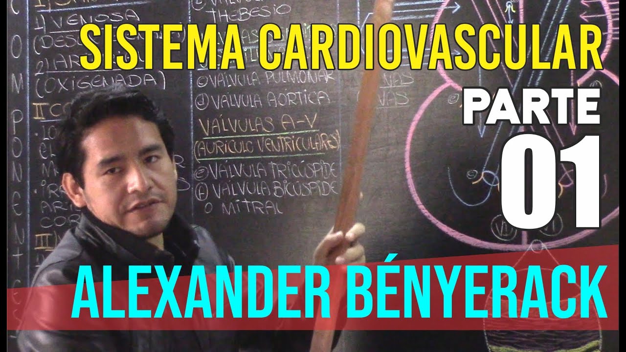 Biología - Sistema cardiovascular PARTE 01