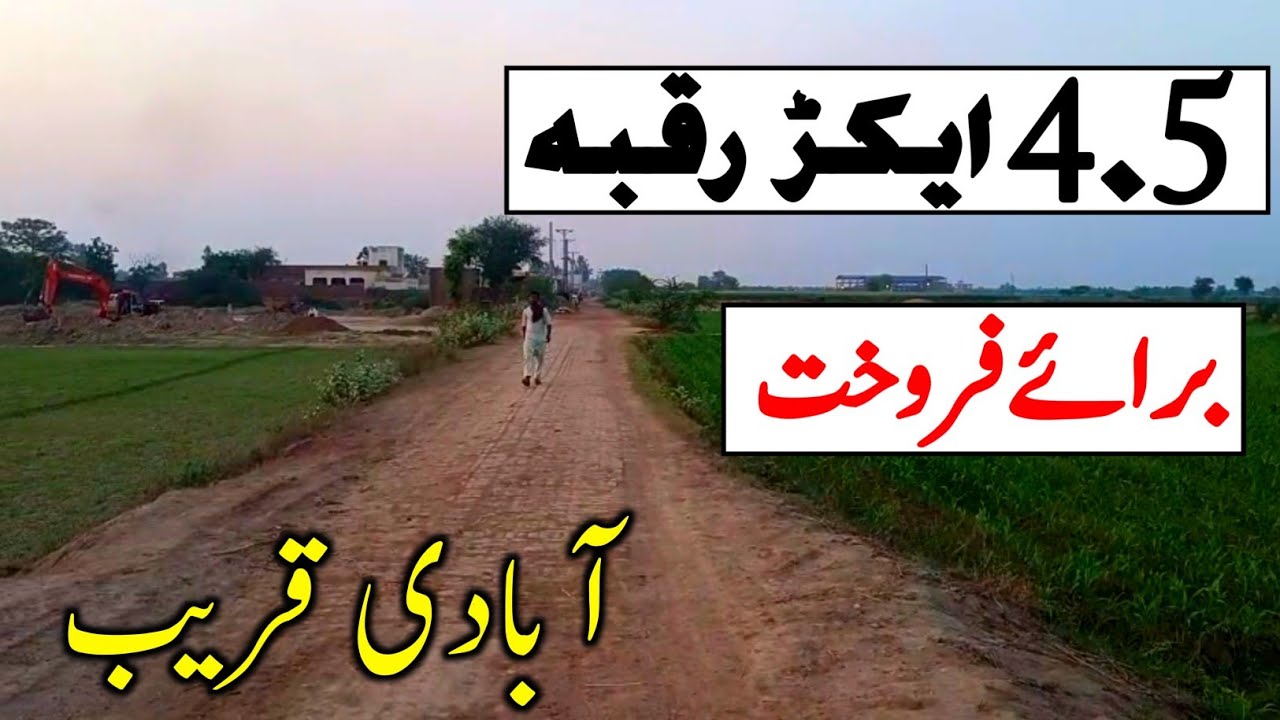 4.5 Acre Agriculture Land For Sale In Punjab Pakistan | Episode 109