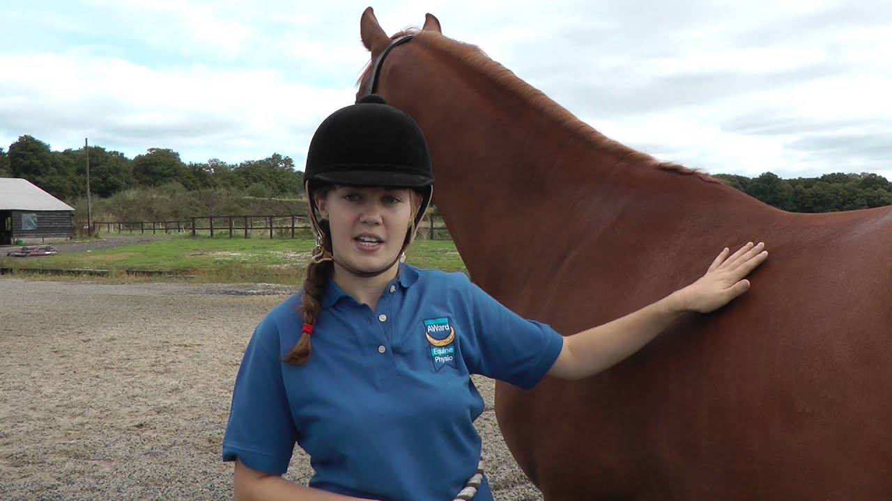 Checking your horse's back: Part 2 | Horse&Rider Magazine