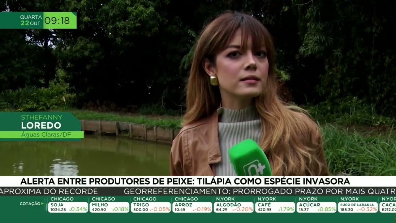Alerta entre produtores de peixe: Tilápia como espécie invasora