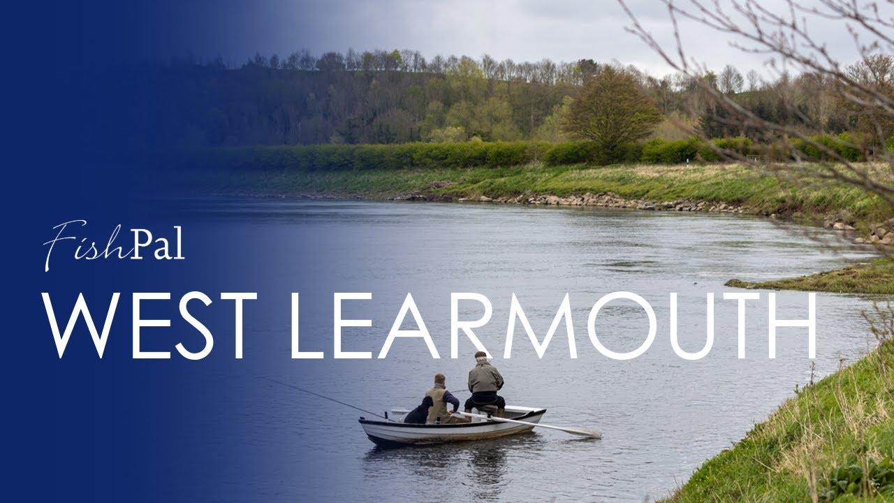 West Learmouth: Productive Beat on Lower Tweed