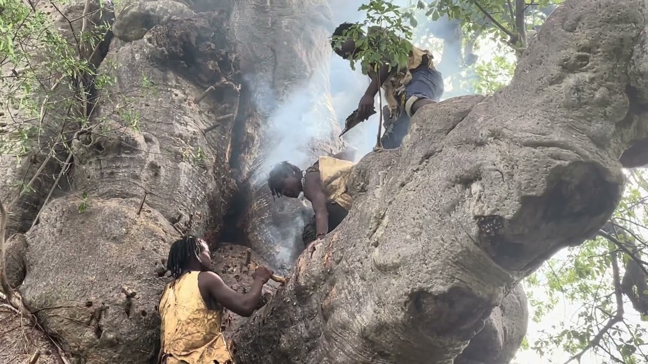 Survive on the jungle 