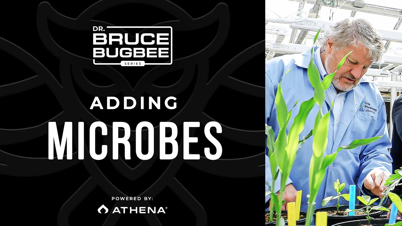 Bruce Bugbee Series &ndash; Adding Microbes
