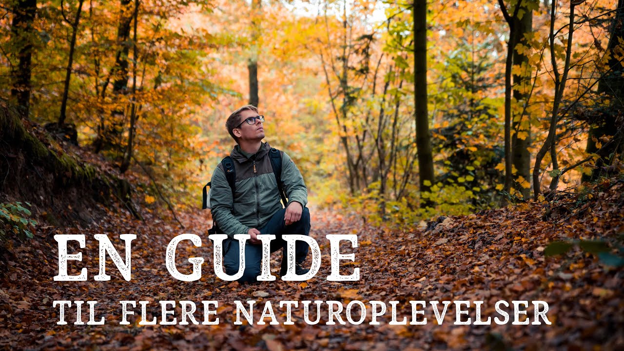 En guide til flere Naturoplevelser // Naturfotografering