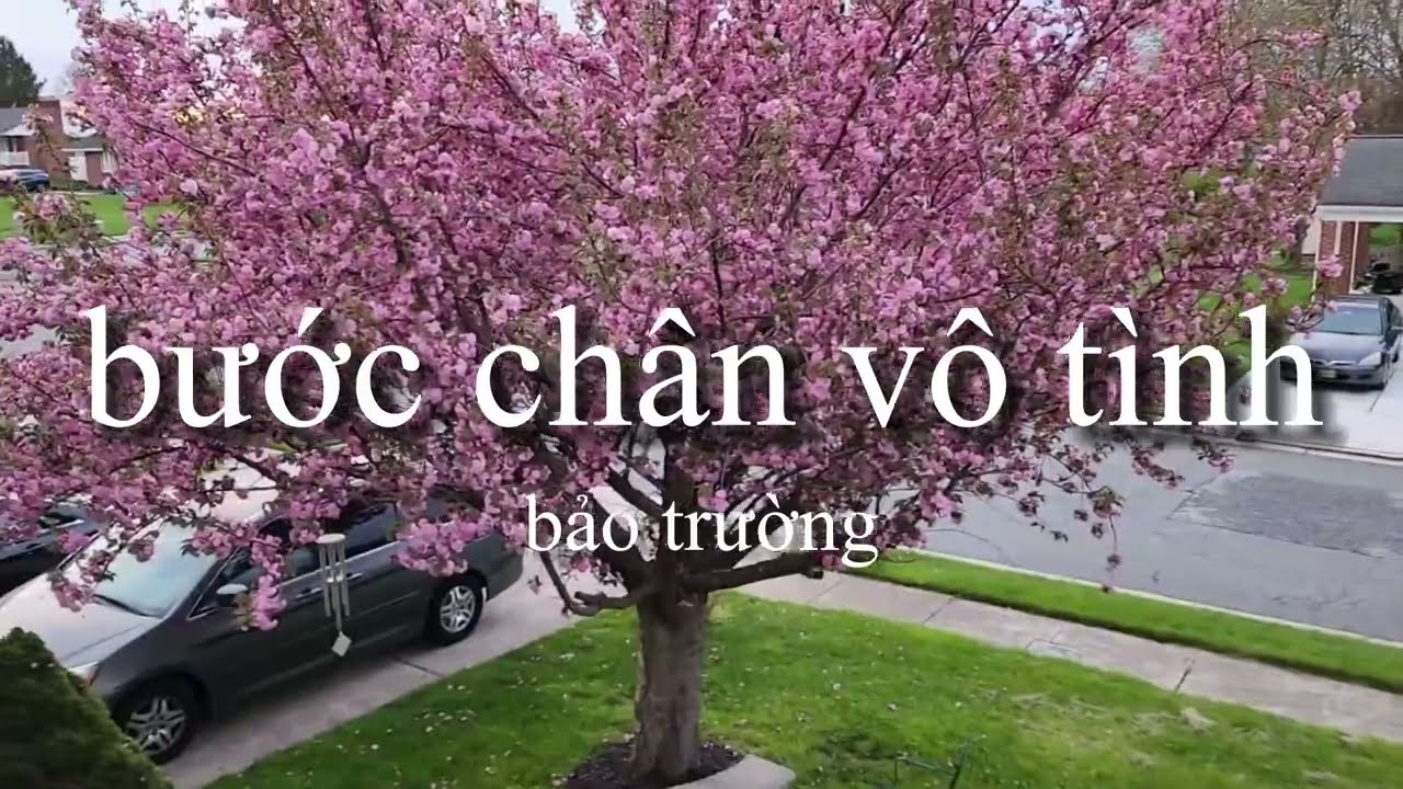 Bước Chân Vô Tình - bảo trường