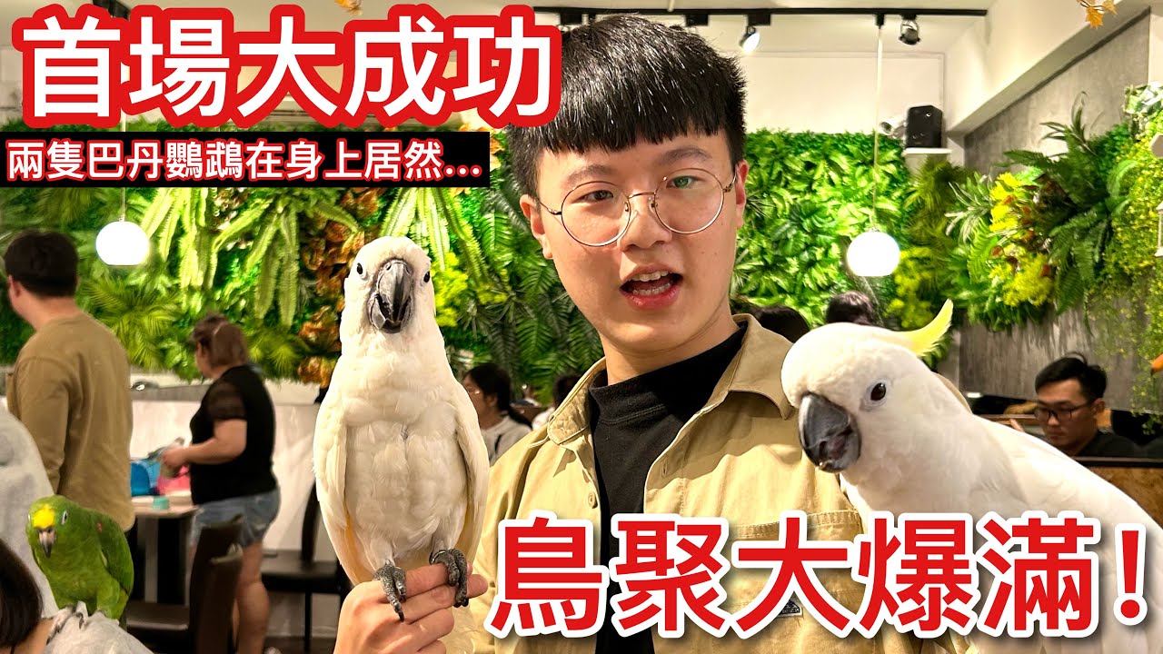 大爆滿！小木屋首場鳥聚「羽翼聚會」大成功！險被巴丹鸚鵡「發狂」怒穿耳洞？「有鸚鵡的生活，真的好美！」【鸚鵡小木屋羽翼聚會EP1】