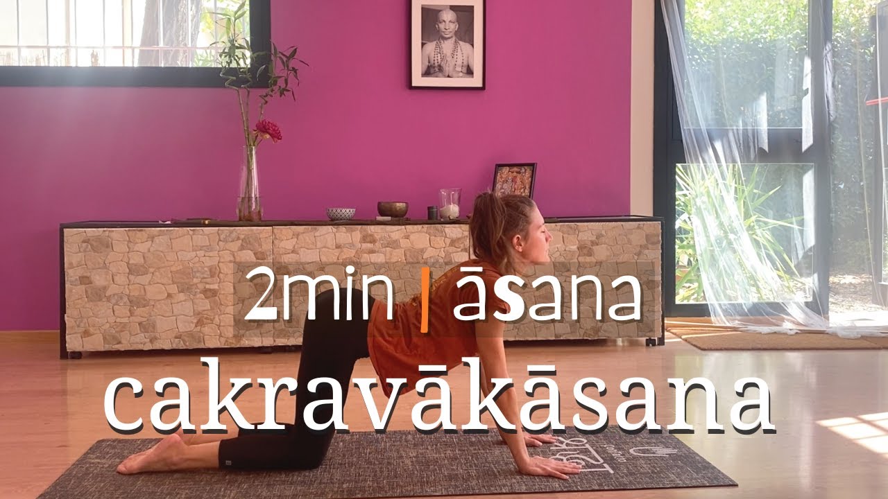 Migliora le basi in Cakravakasana